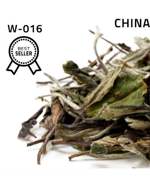 Fu Ding Bai Mu Dan , White Peony