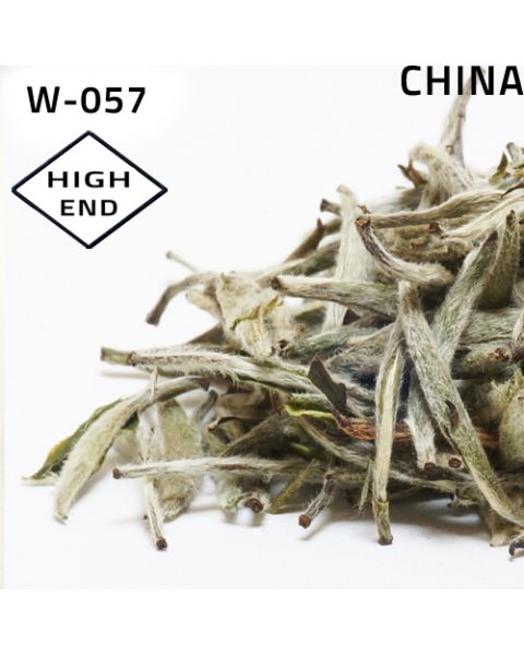 Fu Ding Silver Needle White Tea, Bai Hao Yin Zhen A 2021