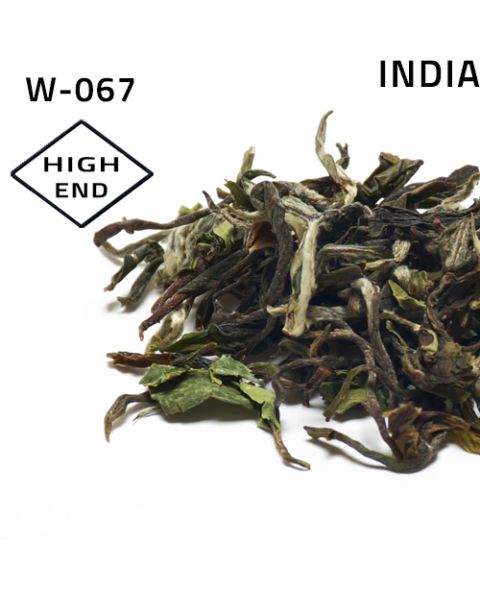 Rohini Jethikupi Darjeeling New Years Tea